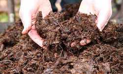 soil amendment leaf mold